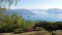 Monte Mottarone - Botan. Garten 