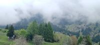 Nebel in Passhöhe -Bernadino