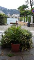 Orta Blick zur Isola S. Giulio