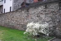 Orta am Ortasee