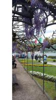 San Giulio