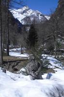 Sonogno