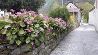 Verzascatal Sonogno