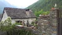 Verzascatal, Sonogno