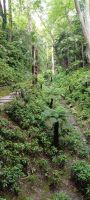 Villa Carlotta - Englischer Garten mit künstlicher Schlucht
