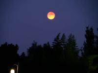 Vollmond