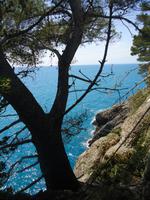 12_Blick v.Leuchtturm