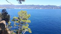 Portofino (Spaziergang  Leuchtturm)