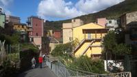 Cinque Terre (Manarola)