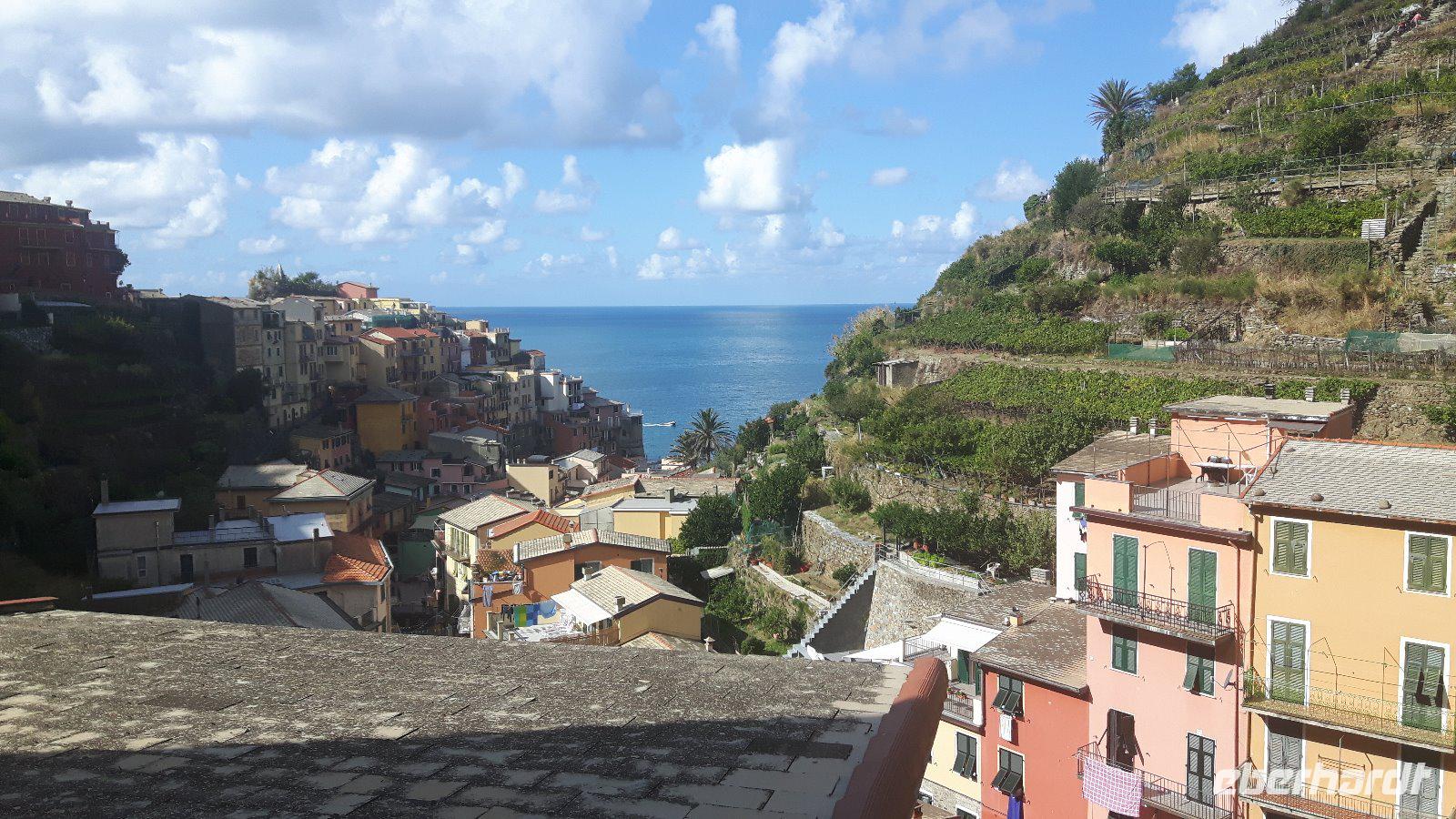 Cinque Terre (Manarola)