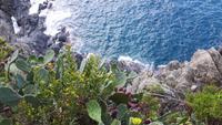 Cinque Terre (Manarola)