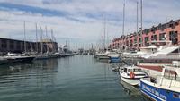 Genua