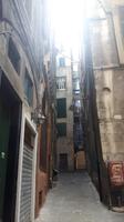 Genua