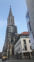 Ulm (Münster)