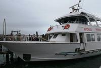 0530 Venedig, mit dem Boot zum Bus