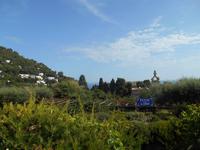 Insel Capri (Karthäuserkloster)