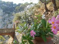 Insel Capri (Augustusgarten)