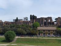 Blick aus den Palatinhügel