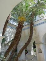 Villa Michele Anacapri 