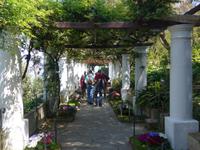 Garten Villa Michele