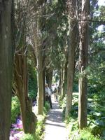 Garten Villa Michele