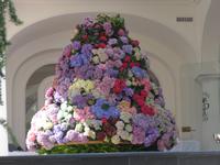 Blumenpracht im Luxushotel auf Capri