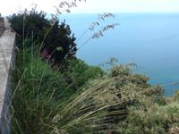 Küstenstraße an der Amalfiküste