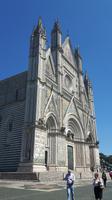 Orvieto (Dom)