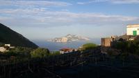 Blick von Termini auf die Insel Capri