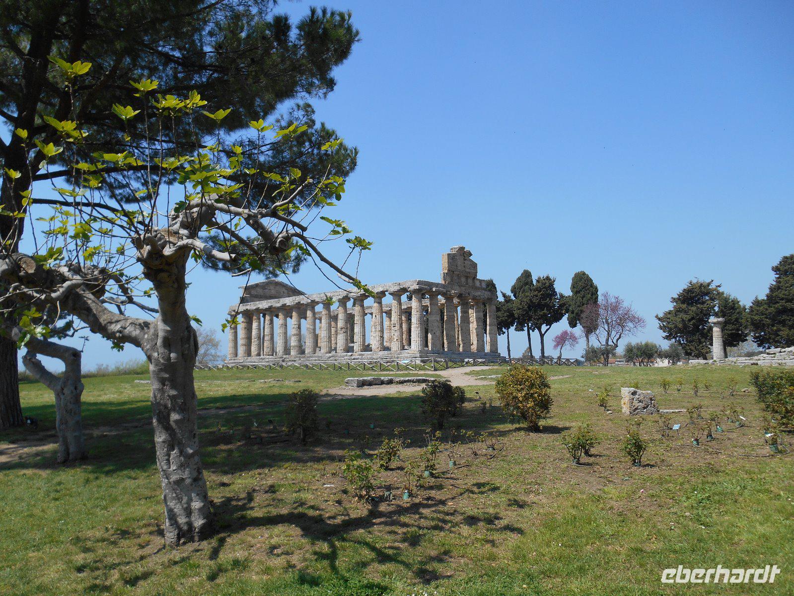 Paestum