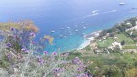 Insel Capri (Ausblick von Anacapri)