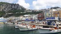 Insel Capri (Marina Grande)