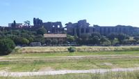 Rom (Circus Maximus mit Blick auf den Palatino)
