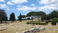 Paestum