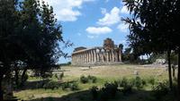 Paestum