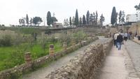 Herculaneum