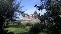 Paestum (Athena-Tempel)