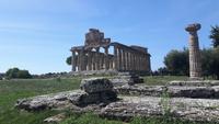 Paestum (Athena-Tempel)