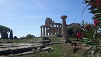 Paestum (Athena-Tempel)