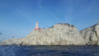 Inselrundfahrt Capri (Faro di Punta Carena)