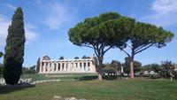 Paestum - Athena-Tempel (Ceres-Tempel)