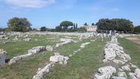 Paestum