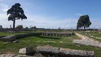 Paestum