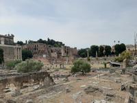 Rom - Forum Romanum