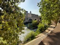 Rom - Spaziergang entlang des Tibers... zur Tiberinsel