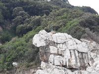 Inselrundfahrt Capri mit dem Schiff