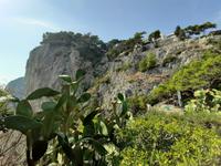 Insel Capri - Capri-Zentrum (Augustusgarten)