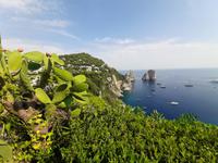 Insel Capri - Capri-Zentrum (Augustusgarten - Blick zu den Faraglioni-Felsen)