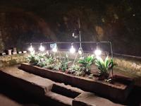 Neapel - Altstadt (Unterirdisches Neapel)