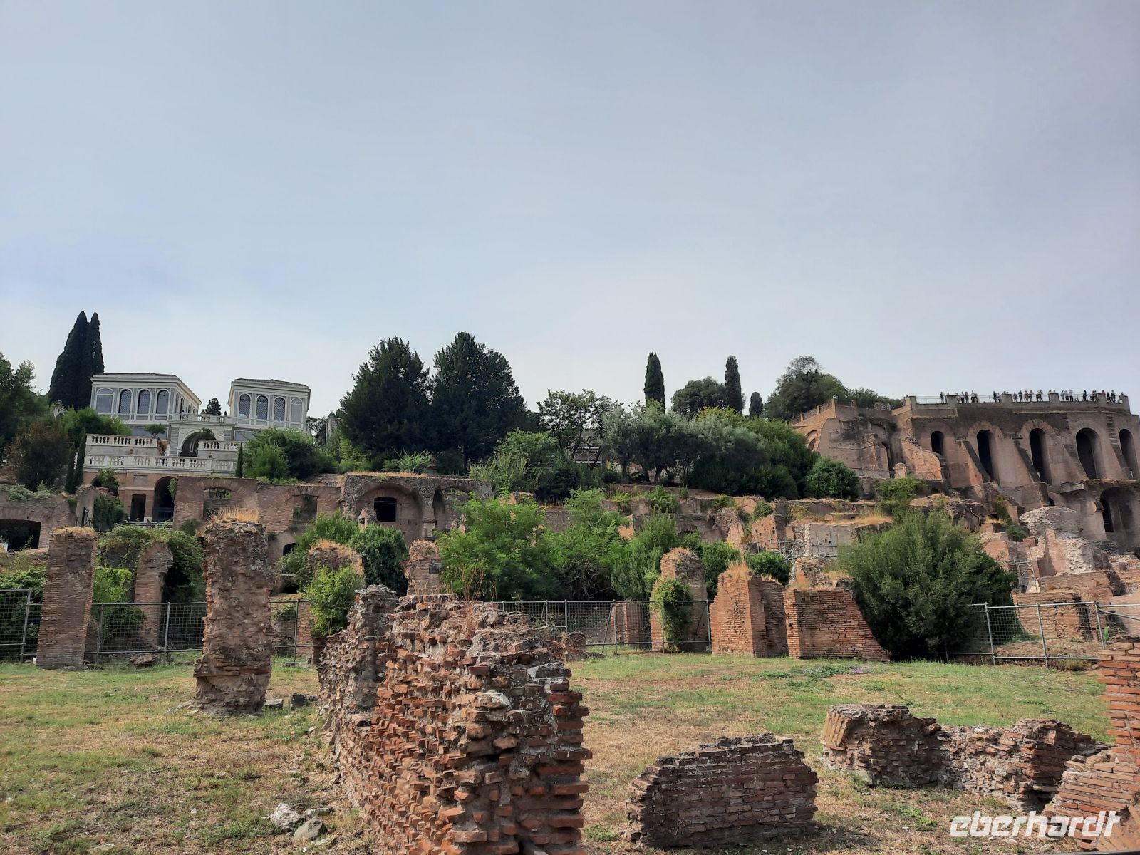 Rom - Forum Romanum (Blick zum Palatin-Hügel)